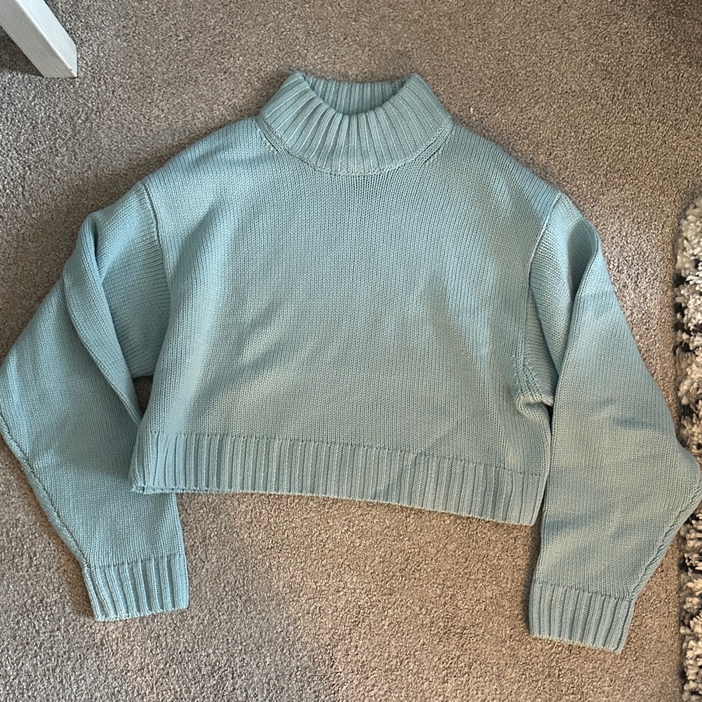 Aritzia (Wilfred) Turtleneck Cropped Sweater